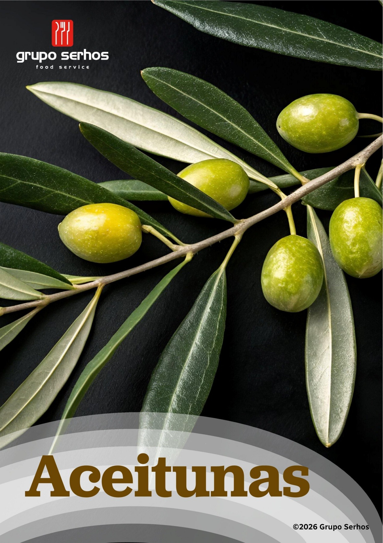aceitunas portada 26