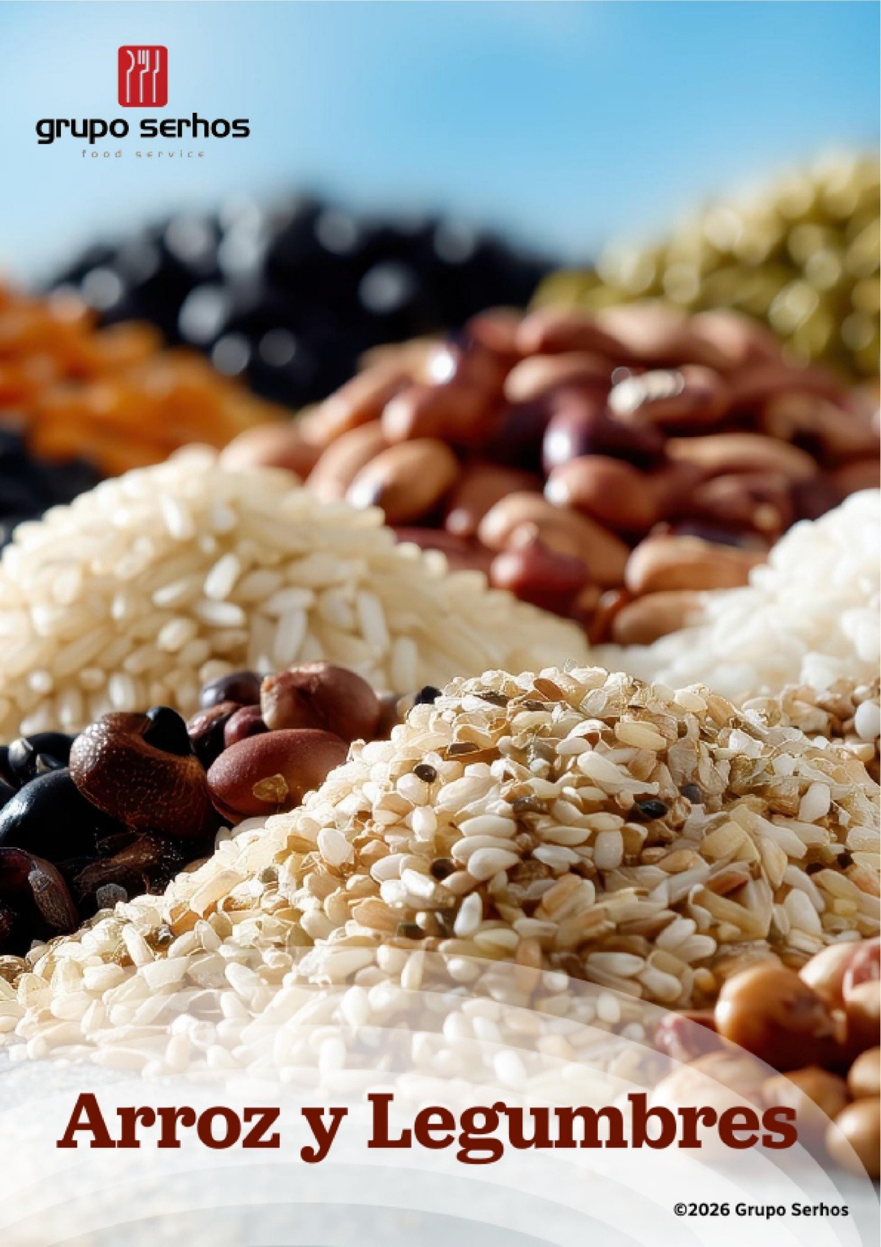 arroz legumbres portada 26