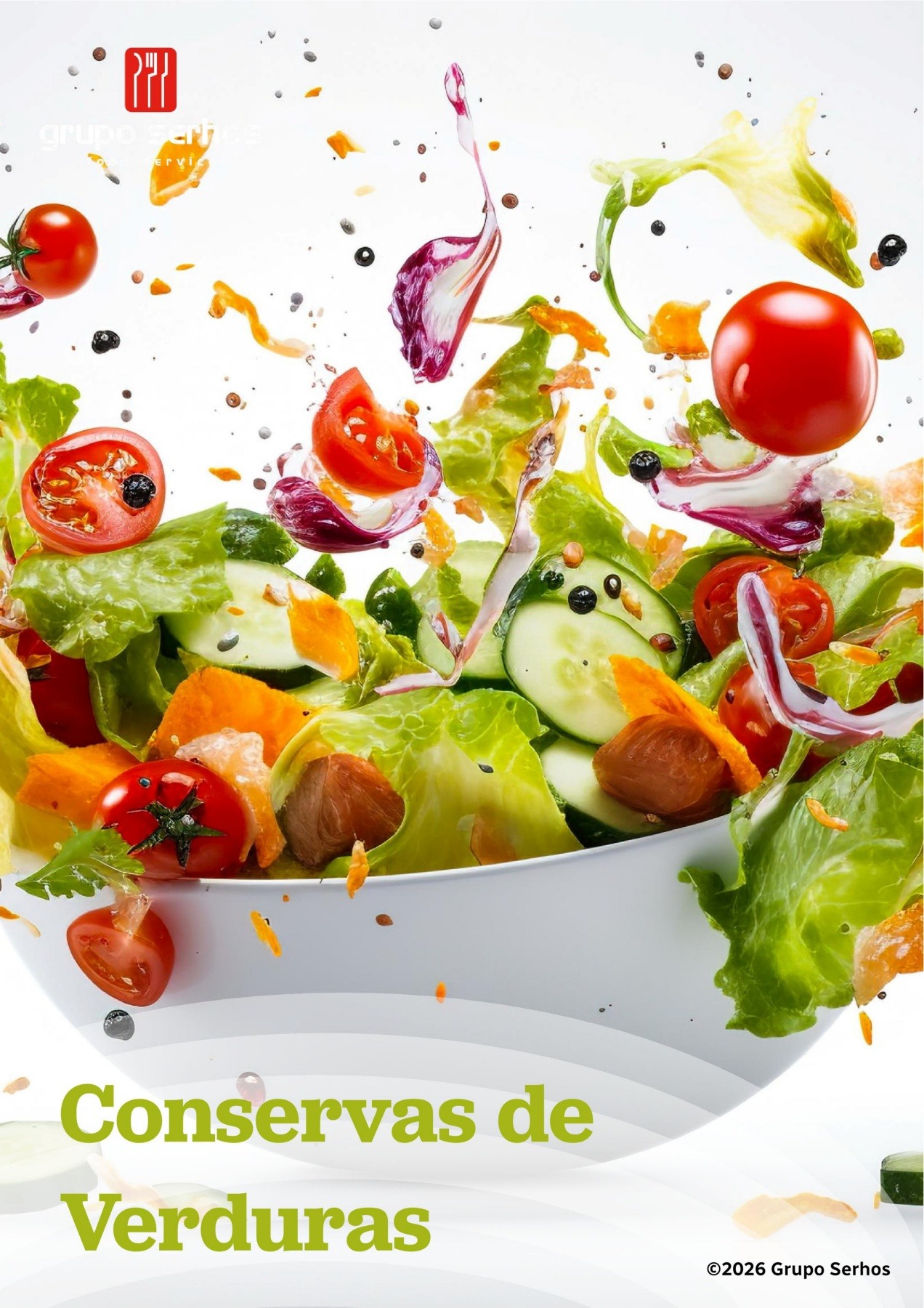 conservas verduras portada 26