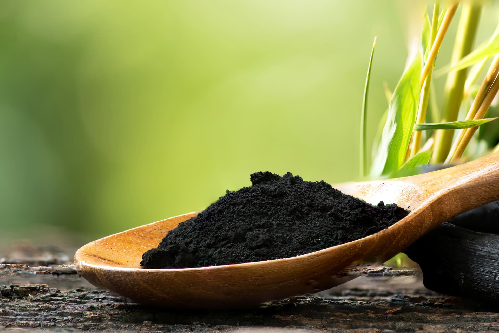 carbon vegetal