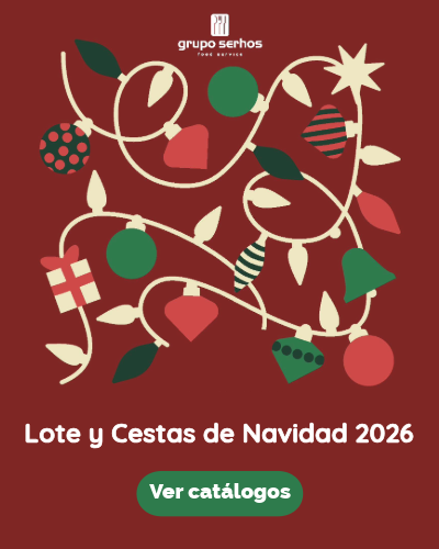 banner navidad 2026 vert